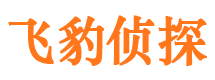 泊头市私家侦探